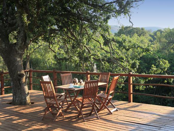 Elephant Safari Lodge - Dining
